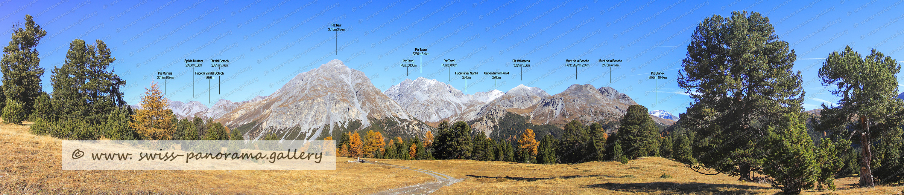 Switzerland Ofenpass Pass dal Fuorn panorama Buffalora Swisspanorama.gallery