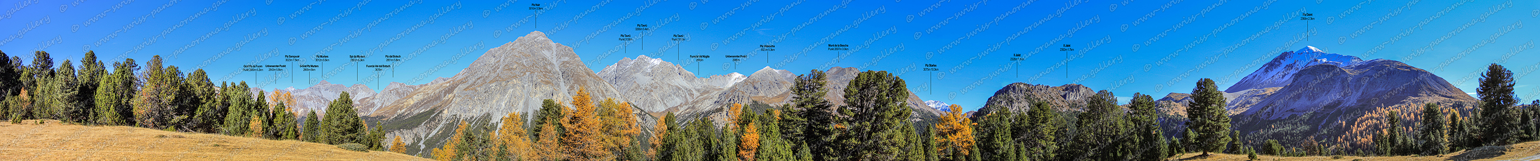 Switzerland Ofenpass Pass dal Fuorn panorama Buffalora Swisspanorama.gallery