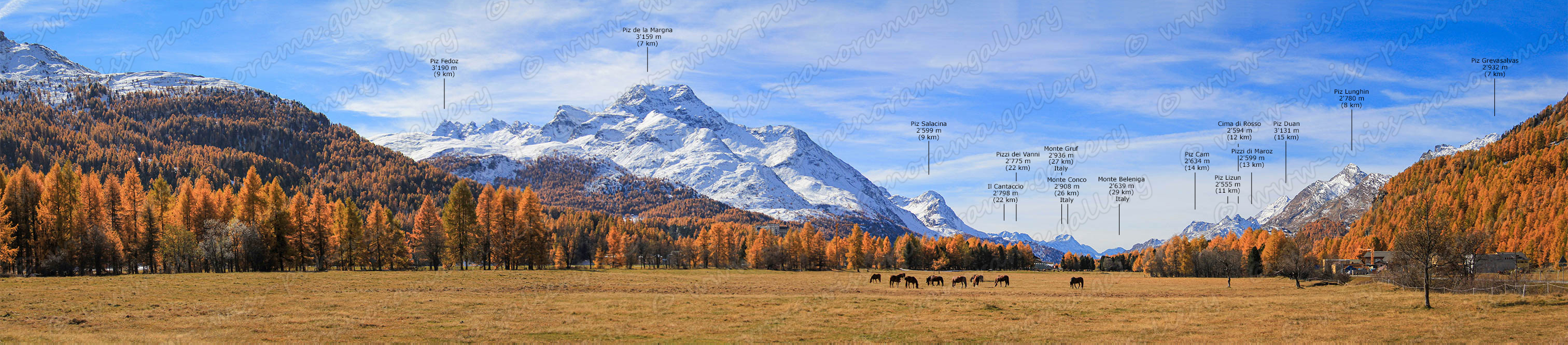 swiss panorama gallery Sils Silser Ebene Bergpanorama Upper Engiadina Lakes Area Silserebene swiss-panorama.gallery, Oberengadin panorama,  Monte Beleniga 2'639 m (29 km) Italy, Il Cantaccio 2'798 m (22 km). Pizzo del Vanni Orientale 2'775 m (22 km) Italy,  Piz Duan 3'131 m (15 km) Piz Lunghin 2'780 m (8 km), Piz Grevasalvas 2'932 m (7 km),  Piz Cam 2'634 m (14 km),  Piz Salacina 2'599 m (9 km), Piz Fedoz 3'190 m (9 km), Piz de la Margna 3'159 m