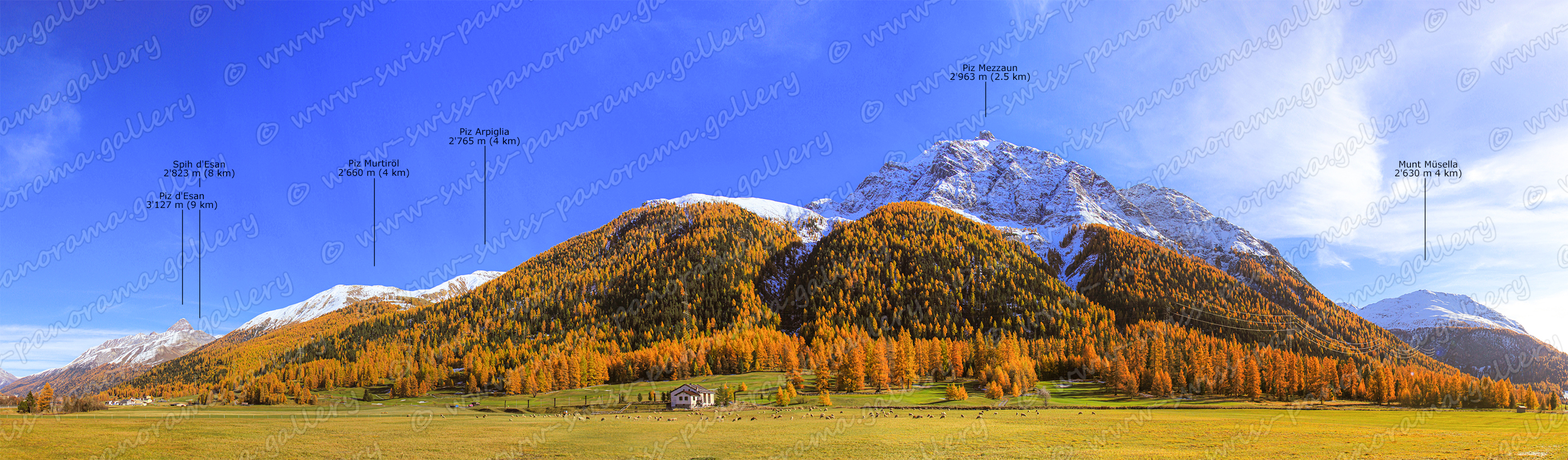 Oberengadin panorama Madulein 
Oberengadin Panorama, Madulein panorama, Piz Mezzaun 2'963 m (2.5 km), Spih d'Esan 2'823 m (8 km), Munt M üsella 2630m 4km, Piz Mezzaun 2'963 m (2.5 km), Piz Arpiglia 2'765 m (4 km), Piz Murtiröl 2'660 , Piz d'Esan 3'127 m (9 km),  Piz d'Esan 3'127 m (9 km)
