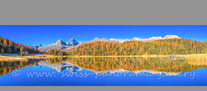 Morgenstimmung am Stazersee, Poster Stazersee kaufen, Morgenstimmung am Lej da Staz, St. Moritz Mountains
