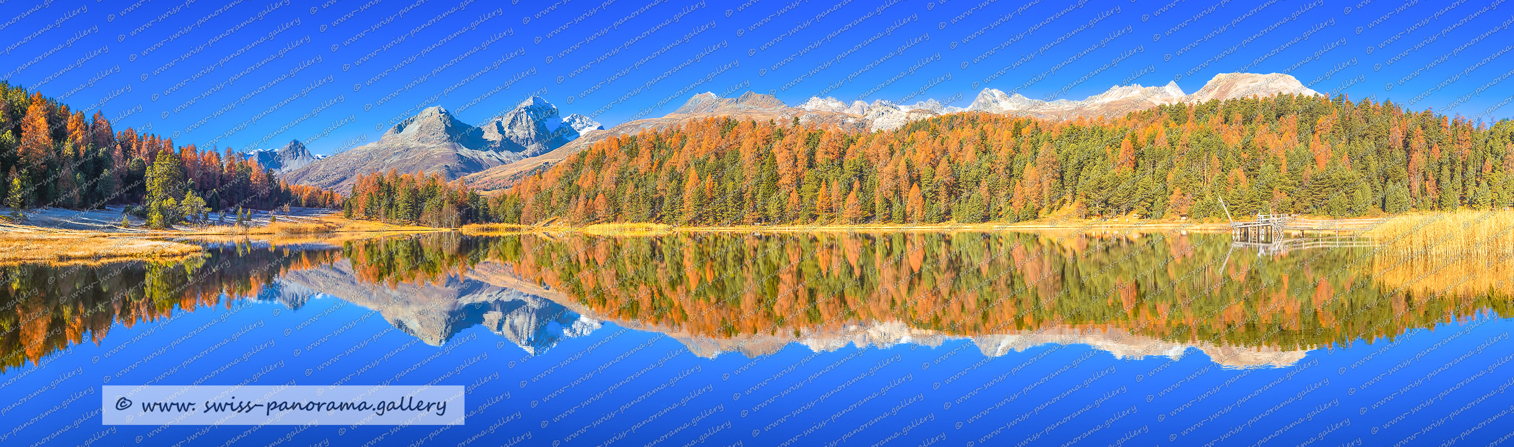 Switzerland Alpenpanorama, Poster Schweizer Berge und Bergpanoramen auf Hahnenühle Papier kaufen