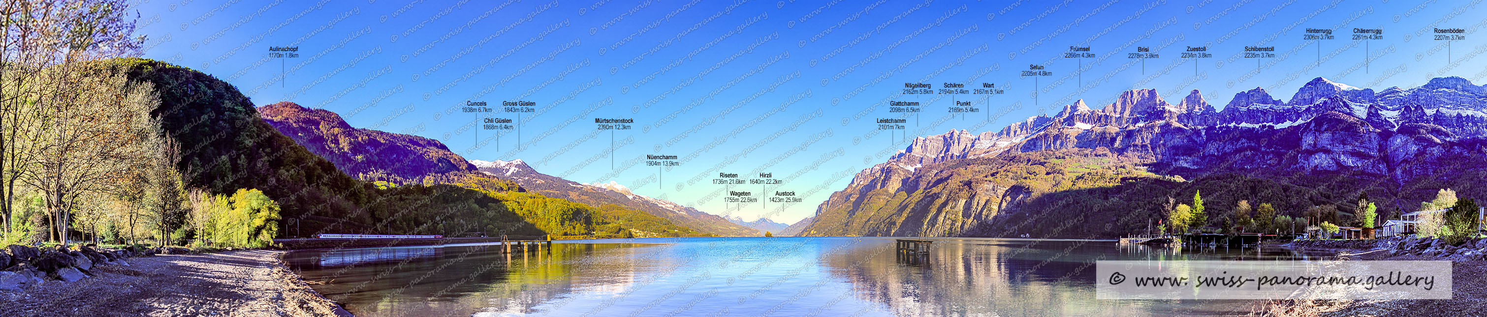 Walensee Panorama Walenstadt
Beschriftetes Schweizer Alpenpanorama Walenstadt , Panoramic picture of the Swiss Alps, Panoramic photos of the Swiss Alps, Beschriftetes Panorama Walensee, Beschriftetes Panorama Churfirsten, Schären 2194m SG (Churfirsten), Nägeliberg 2162m, Leistchamm 2101m SG (Churfirsten), Selun 2205m SG (Churfirsten), Wart 2167m SG (Churfirsten), Glattchamm 2098m SG (Churfirsten), Frümsel 2266m SG (Churfirsten), Brisi 2278m SG (Churfirsten)  , Hinterrugg 2306m SG (Churfirsten), Zuestoll 2234m  SG (Churfirsten)  , Schibenstoll 2235m  SG (Churfirsten), Hirzli 1640m, Austock 1423m SZ (Reichenburg)  25.9km, Wageten 1755m GL 22,6km, Chäserrugg 2261m SG (Churfirsten) 4.2km, Riseten 1736m GL, Chli Güslen 1868m SG,  Mürtshenstock (Stock) 2390m, Nüenchamm1904mGL  13.9km, Rosenböden 2207m SG (Churfirsten) 4.2km, Cuncels 1938m 6.7km, Gross Güslen 1843m SG, Aulinachopf 1170m, swiss-panorama.gallery, famous Swiss Alps, Swiss Panorama Gallery, labelled mountain panorama from Switzerland,