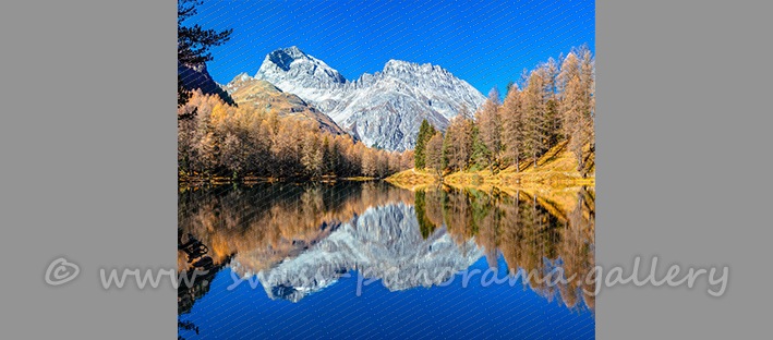 Novembertag am Palpugnasee, Albulatal, Albula Pass Piz Ela Naturpanorama Bergwelten Alpanpanorama Goldener Herbst in Graubünden