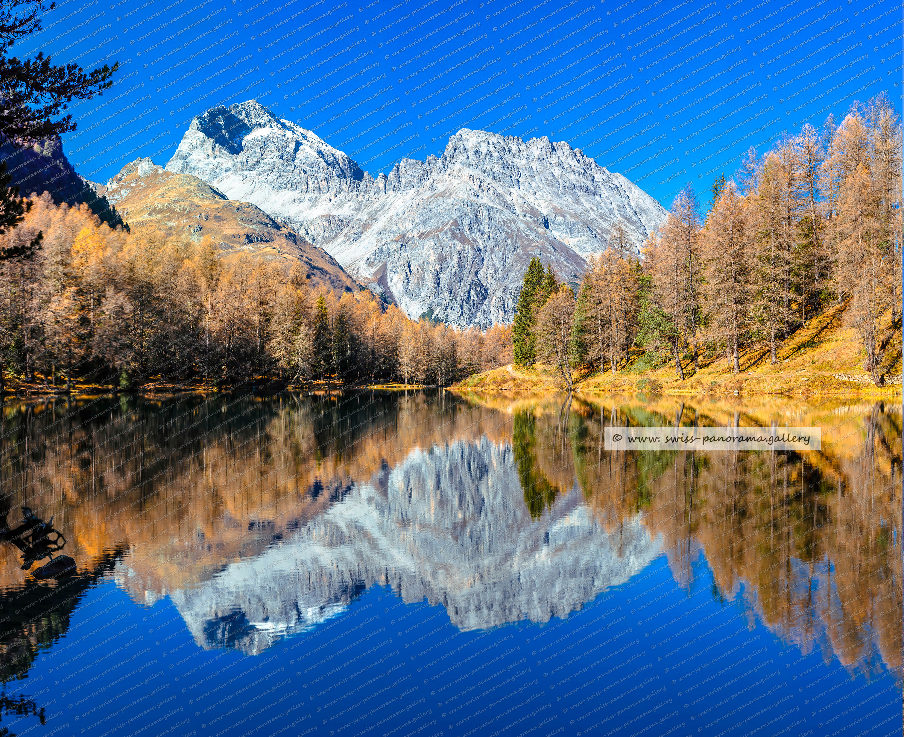 Switzerland Alpenpanorama, Poster Schweizer Berge und Bergpanoramen auf Hahnenühle Papier kaufen