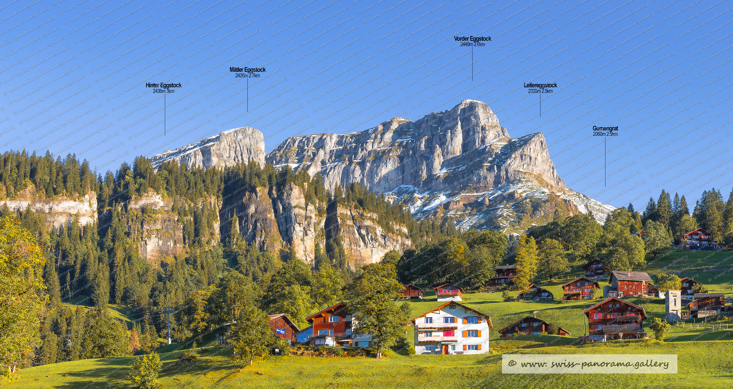 Beschriftetes Schweizer Alpenpanorama Braunwald, Panoramic picture of the Swiss Alps, Panoramic photos of the Swiss Alps, Glarus Süd, Glarner Grosstal, Eggstocke Braunwald, Leitereggstock 2320m 2.6km, Vorder Eggstock 2449m Braunwald, Mittler Eggstock 2428m, Hinter Eggstock 2436m, Gumengrat 2060m,  Braunwald,  swiss panorama, gallery,, Famous Swiss Alps, Swiss Panorama Gallery, labelled mountain panorama from Switzerland, 