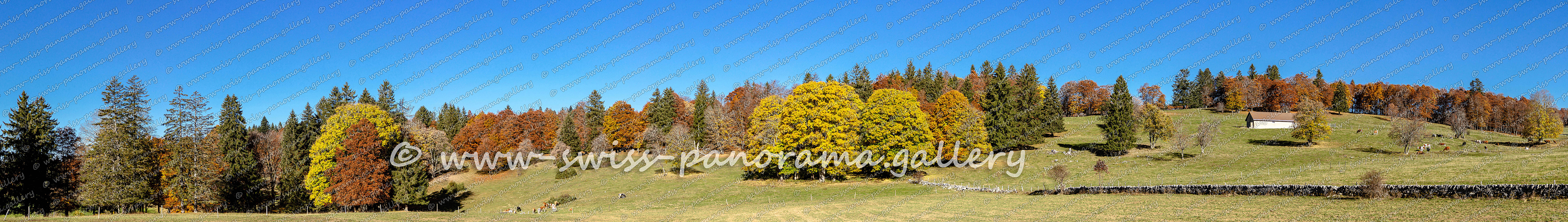 Swiss panorama Panorama Jura Herbst Landschaft Schweizer Alpenpanorama