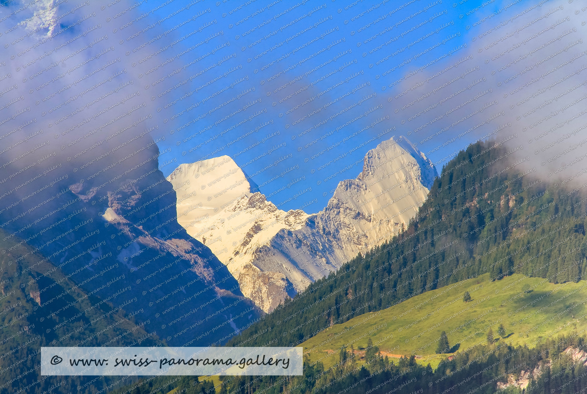 Männlichen Abendstimmung Eiger Mönch Jungfrau Berner Alpenpanorama sunset Swiss Alps Schweizer Alpenpanorama