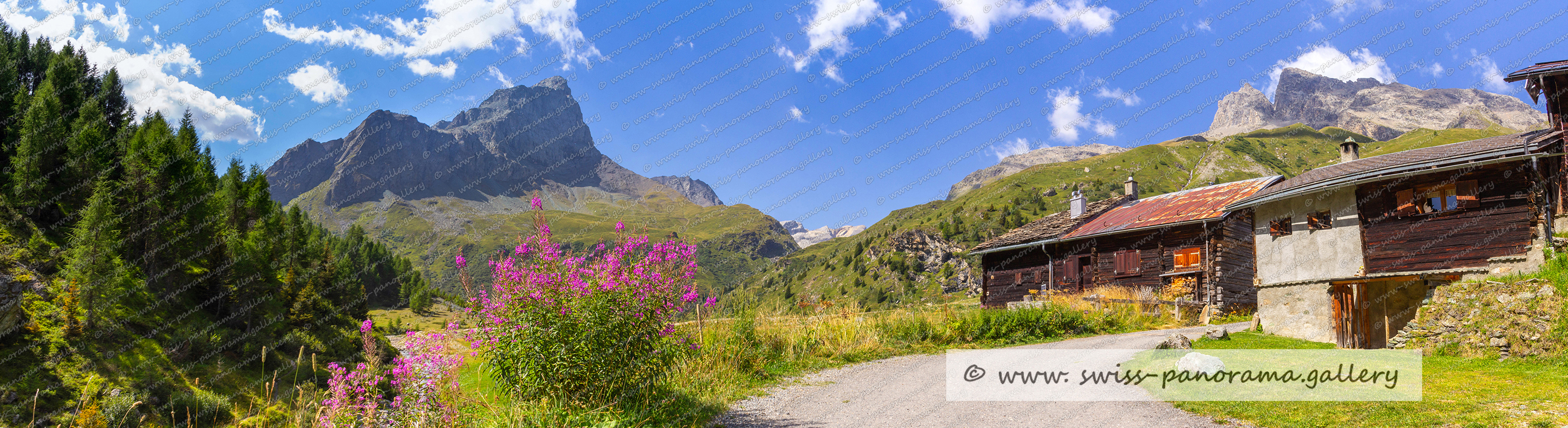 Val Faller Piz Plate und Piz Forbesche, Schweizer Alpenpanorama, swiss panorama.gallery