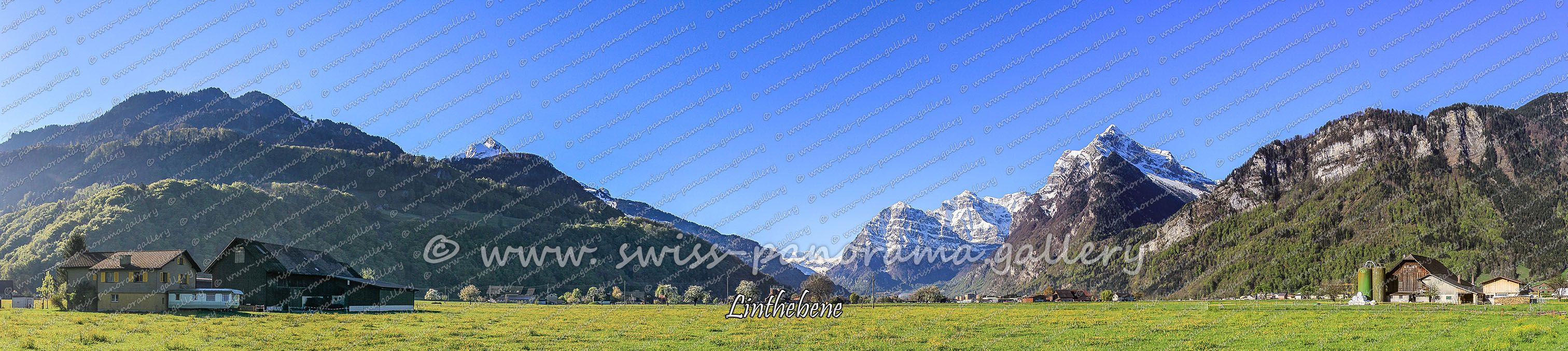 Switzerland panorama Niederurnen, Walensee Panorama Linthebene, Beschriftetes Schweizer Alpenpanorama Linthebene , Panoramic picture of the Swiss Alps, Panoramic photos of the Swiss Alps, Beschriftetes Panorama Walensee, Beschriftetes Panorama Glarner Alpen, Fronalpstock 2124m (GL), Schlafstein 2058m  GL, Ruchi 3105m GL, Höch Tor 2503m  (Glärnisch), Hinter Sulzhorn 2738m GL , Schwander Grat 2881m, Hausstock 3158m GL, Ruchen 2901m GL Glärnisch, Vorder Glärnisch 2328m, Vrenelisgärtli 2904m, Rautispitz 2283m GL , Friedlispitz1624m  GL, Bärenstichchopf 1664m GL , Bützistock 2340m, swiss-panorama.gallery, famous Swiss Alps, Swiss Panorama Gallery, labelled mountain panorama from Switzerland, 
