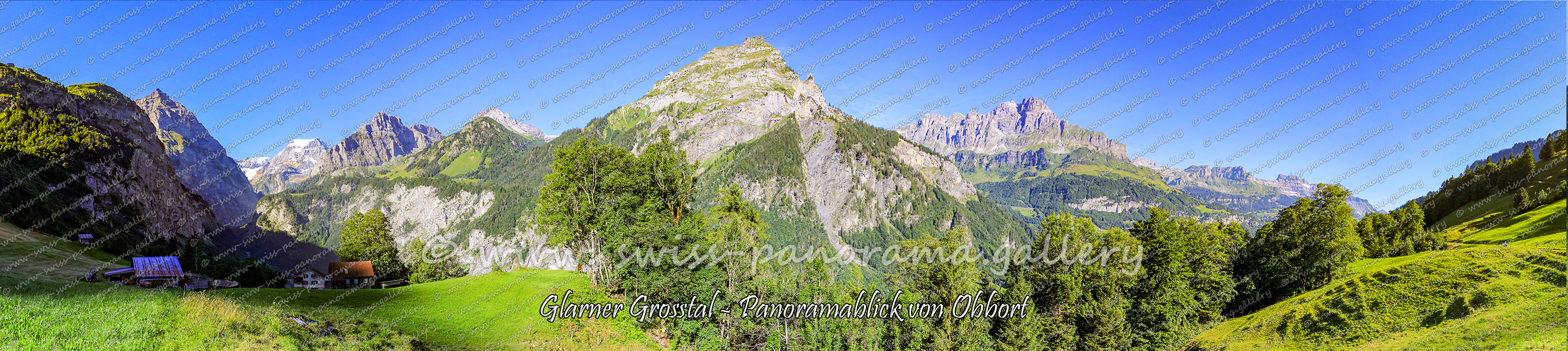 Panorama Glarner Alpen Tierfehd