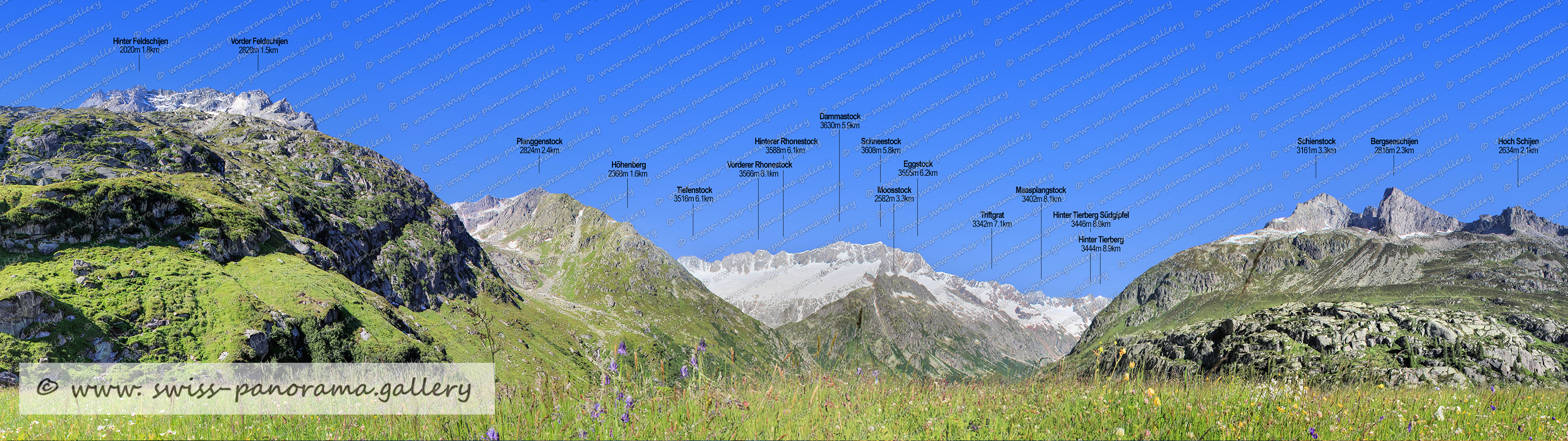 Göschener Alp panorama, Beschriftetes Schweizer Bergpanorama, Panorama Göscheneralp See, labelled panorama from Switzerland, Lochberg 3079m, Hinterer Rhonestock 3588m, Moosstock 2582m 4-4km, Tiefenstock 3616m, Dammazwillinge 3274m, Triftgrat 3342m, Eggstock 3555m, Schneestock 3608m, Vorderer Rhonestock 3566m, Dammastock 3630m, Höhenberg 2368m 1,7km, Planggenstock 2824m. Lochberglücke 2814m, Hinter Feldschijen 3020m, Vorder Feldschijen 2828m, Hinter Tierberg Südgipfel  3446m 8.9km, Hinter Tierberg Südgipfel 3446m, Schienstock 3161m, Bergseeschijen 2816m, Triftgrat 3342m, Maasplangstock 3402m  , Hoch Schijen 2634m, Höhenberg 2368m, Schweizer Alpenpanoramen, swiss panorama gallery, Goeschener Alp, Urner Alpen,