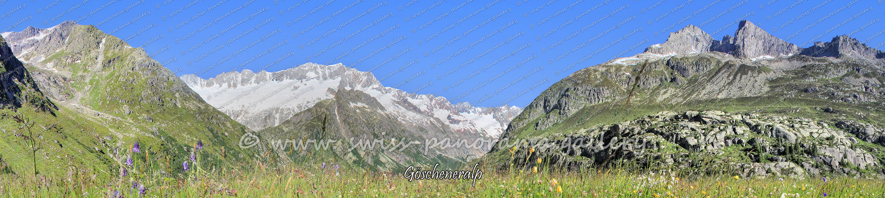 Switzerland panorama Göschener Alp