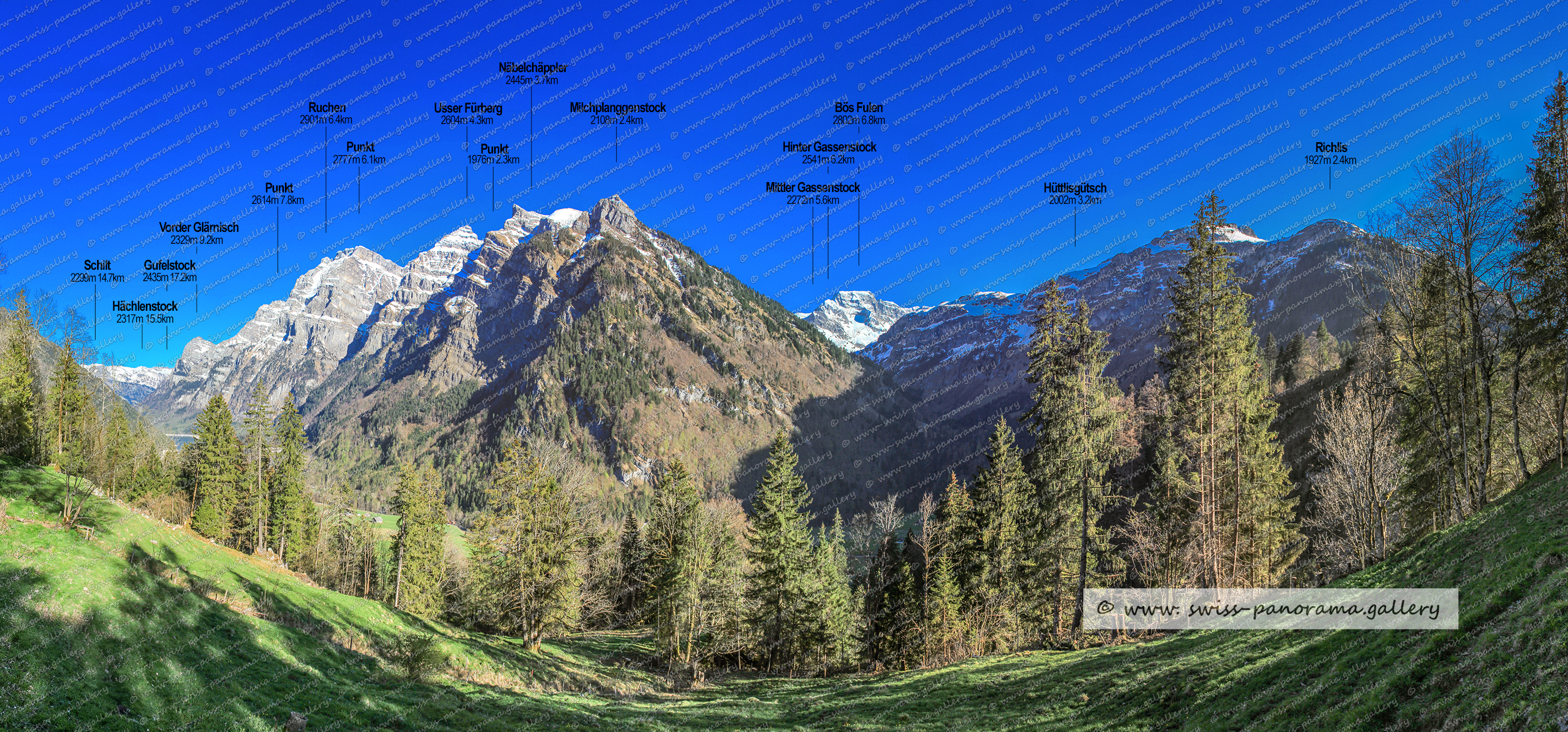 Blick von nahe Richisau im Hinteren Klöntal zum Glärnisch Massiv und zum Bös Fulen, Darliegg 1797m (Glärnisch), Sporenegg 2116m    (Glärnisch), Vorder Glärnisch 2328m, Wiggisegg 1695m (Glärnisch), Usser Fürberg 2604m, Forenegg 1817m (Glärnisch), Höbel 1890m (Glärnisch), Ruchen 2901m , Stralstöckli 2215m 4.5km   (auch Stralstöggli genannt / Glärnisch Massiv), Näbelchäppler 2445m, Milchplanggenstock 2108m, Spitzegg 1796m 2.5km,