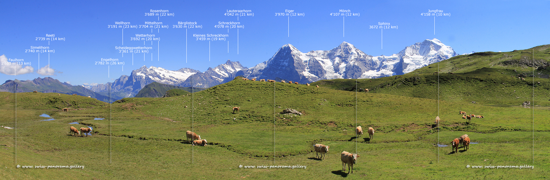 swiss panorama gallery Bergpanorama Berner Alpen panorama Sousegg Oberes Sulsseewly Sulwald