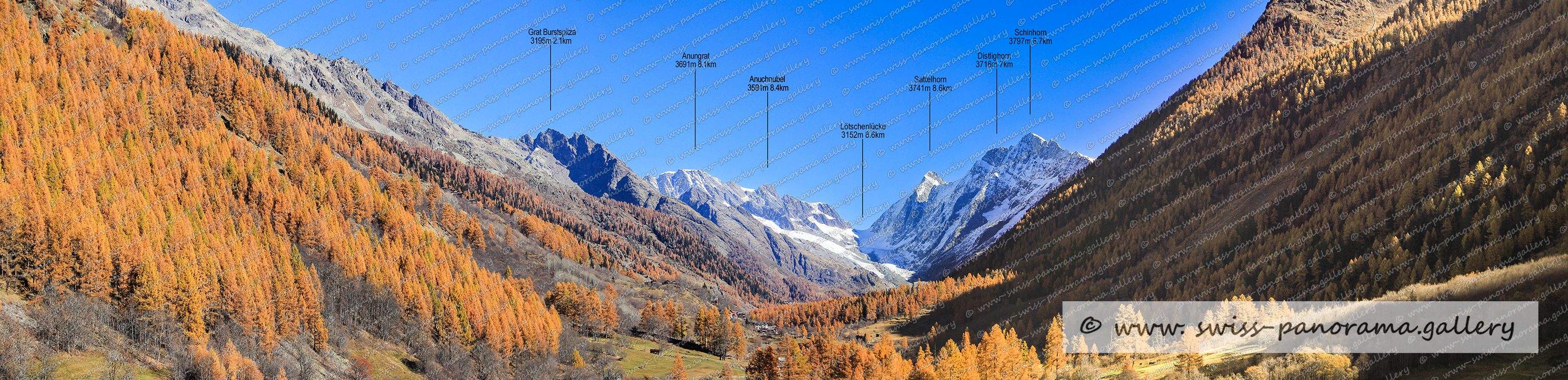 Beschriftetes Alpenpanorama,  Anuchnubel 3591m, Lötschenlücke 3152m, Anungrat 3691m, Distlighorn 3716m, Schinhorn 3797m, 
Sattelhorn 3741m, Grat Burstspitza 3195m, swiss panorama gallery