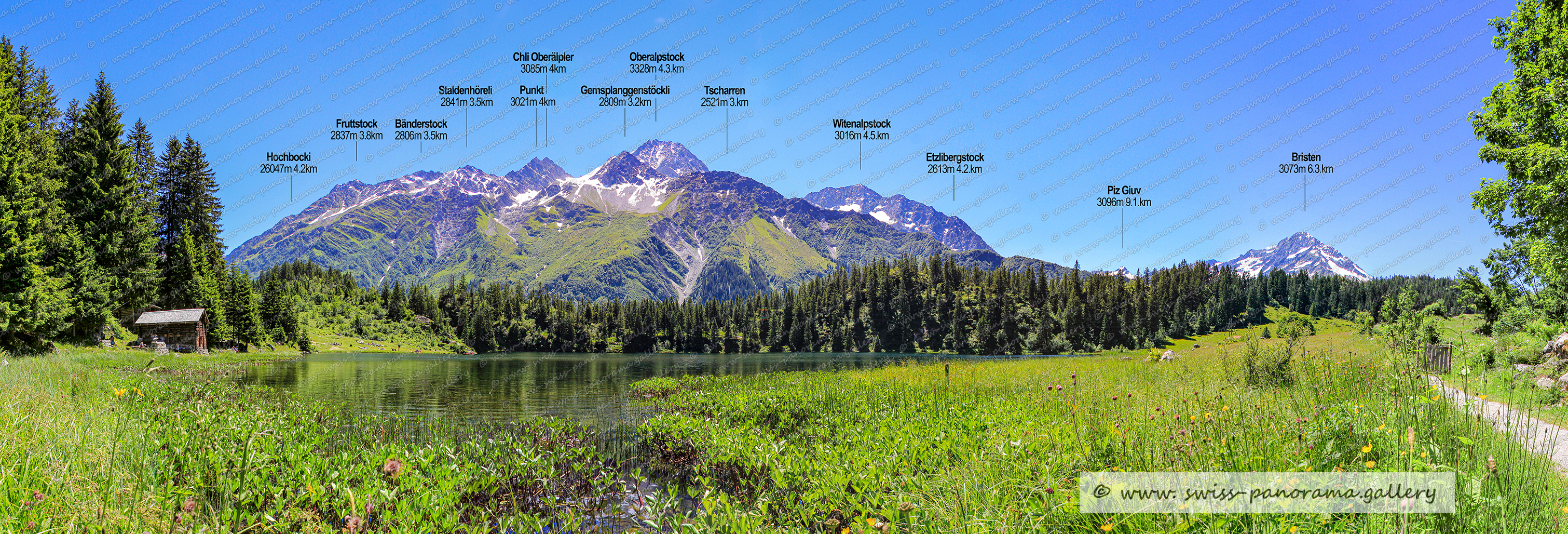 Alpenpanorama beschriftet, Golzern im Maderanertal, Sichtbare Berggipfel, Gross Düssi 3256m, Straligen Stöckli 2928m, Chli Düssi 3125m, Hagstäcken 2918m  , Höchen Schijen 2843m 6.4km, Bänderstock 2806m, Staldenhöreli 2841m, Bänderstock 2806m, Gross Düssdi NW Grat 2821m, Hinter Fruttstock 2396m, Geschel 1747m, Chli Düssi 3125m, Chli Oberälpler  3085m, Tscharren 2521m, Stöckli 2554m, Hoch Egg 2189m, Etzlibergstock 2613m, Witenalpstock 3016m Nordgipfel , Mutsch 2790m , Rossbodenstock 2461m,  Hälsistock 2965m,   Witenalpstock  3016m, Piz Nair 3059m, Piz Giuv  3096m, Rohrspitzli 3220m, Chüeplanggenstock 3209m, Gemsplanggenstöckli 2809m, Chli Bristen 2202m, Schafschijen 2840m, Fleckistock 3417m, Swiss mountain panorama