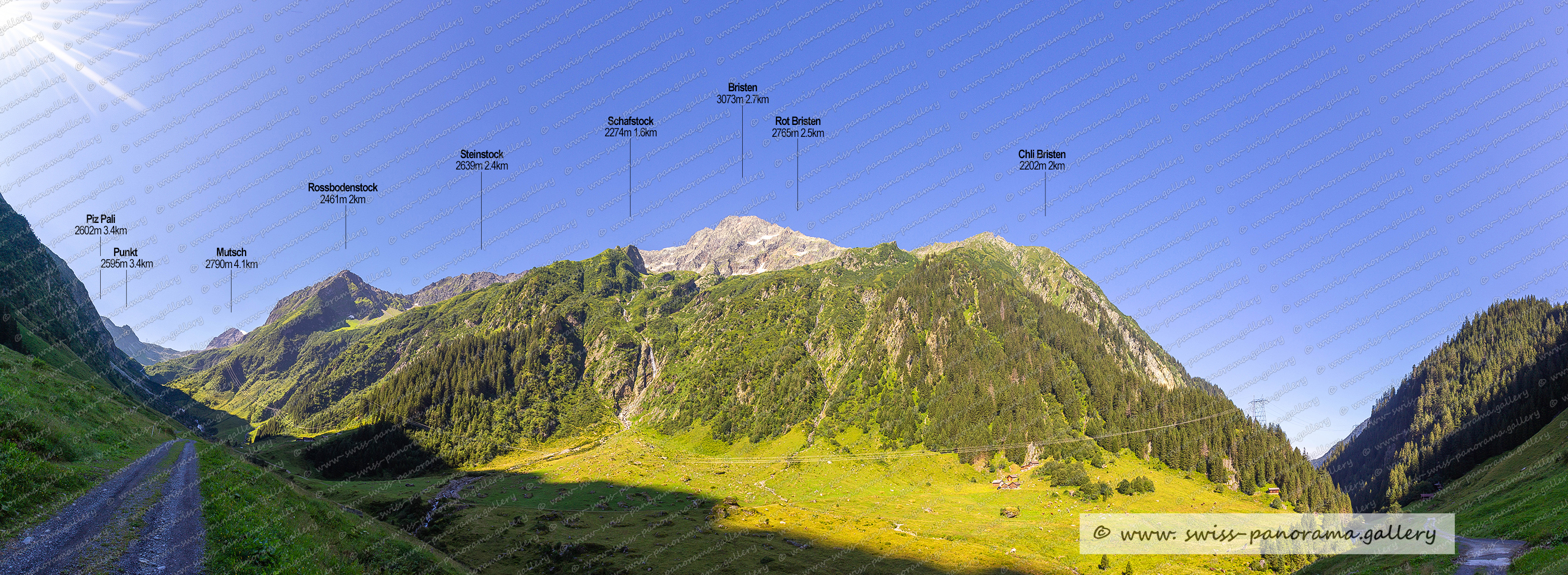 Beschriftetes Alpenpanorama vom Etzlital, Sichtbare Gipfel,  Piz Pali 2602m 3.4km, Mutsch 2790m, Rossbodenstock 2461m, Schafstock 2274m, Bristen 3073m, Rot Bristen 2765m, Steinstock 2639m, Chli Bristen 2202m, Etzliboden, Etzlialp, Etzlital, Maderanertal, Panorama Etzlital, beschriftete Schweizer Alpenpanoramen, Swiss Alps