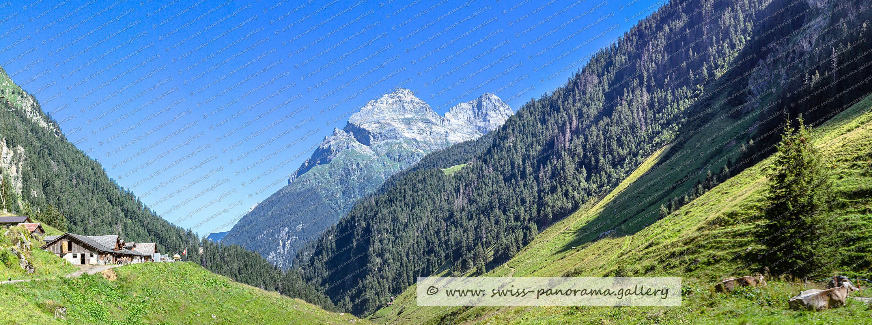 Beschriftete Alpenpanoraman, Etzlital Blick vom Hinteren Etzliboden zur Chli Windgällen und zu Grossen Windgällen, Urner Alpenpanorama. Swiss Alps, swiss panorama Gallery