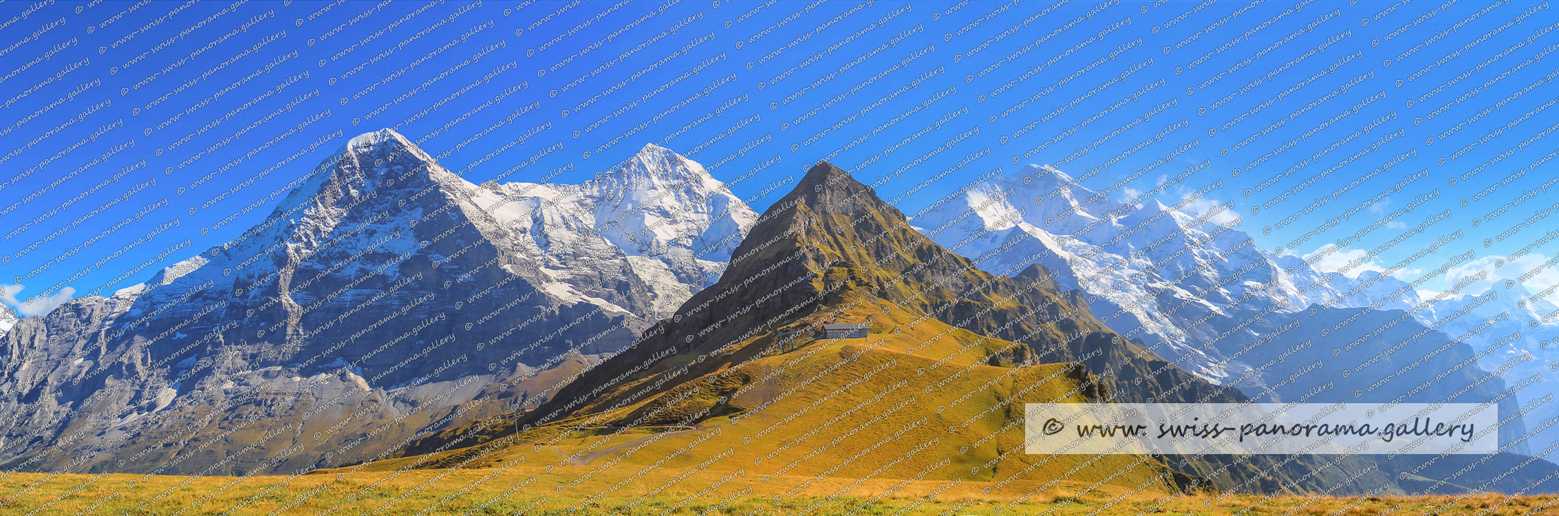 Kleine Scheidegg Sonnenuntergang Eiger Mönch Jungfrau Berner Alpenpanorama sunset Swiss Alps Schweizer Alpenpanorama