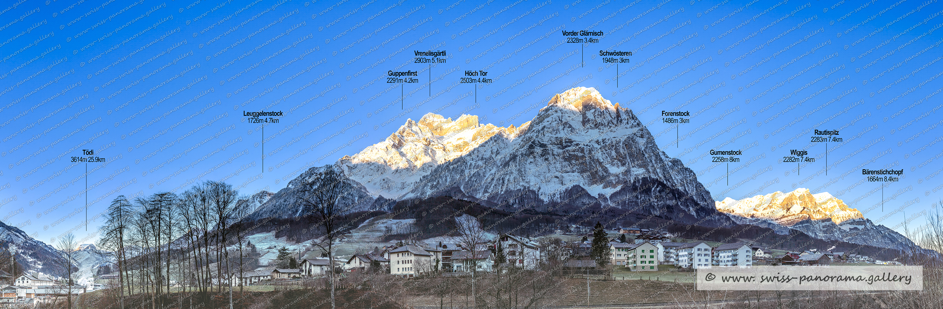 Schweizer Bergpanorama der Glarner Alpen, beschriftetes Alpenpanorama Mitlödi, Glärnisch Massiv,  Höch Tor 2503m  (Glärnisch), Rautispitz 2283m GL, Bärenstichchopf 1664m GL, Wiggis 2282m, Schwösteren 1948m (Vorder Glärnisch), Gumenstock 2256m, Forenstogg 1486 (Vorder Glärnisch), Vorder Glärnisch 2328m, Vrenelisgärtli 2904m, Guppenfirst 2291m  (Glärnisch)  , Leuggelstock 1726m GL, Tödi 3614m 25.9km, Glarner Alpenpanorama, Famois Swiss Alps, Swiss Panorama Gallery,