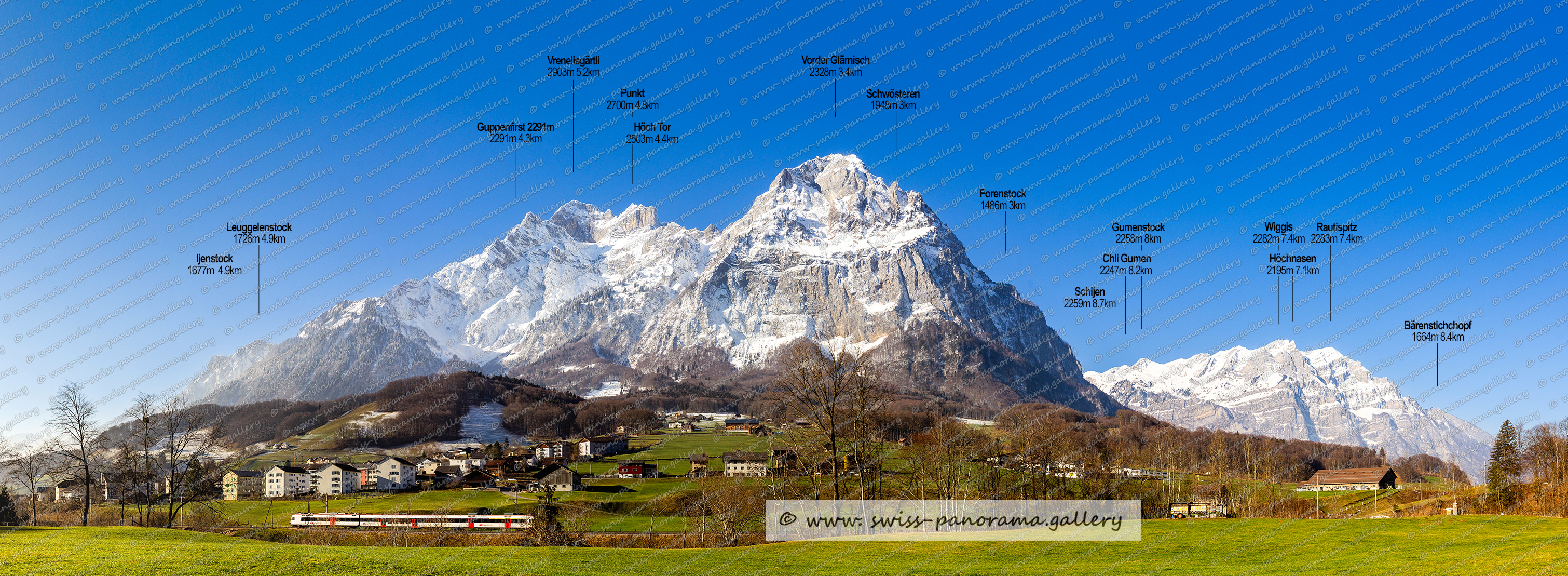 Schweizer Bergpanorama der Glarner Alpen, beschriftetes Alpenpanorama Mitlödi, Glärnisch Massiv,  Höch Tor 2503m  (Glärnisch), Rautispitz 2283m GL, Bärenstichchopf 1664m GL, Wiggis 2282m, Schwösteren 1948m (Vorder Glärnisch), Gumenstock 2256m, Forenstogg 1486 (Vorder Glärnisch), Vorder Glärnisch 2328m, Vrenelisgärtli 2904m, Guppenfirst 2291m  (Glärnisch)  , Leuggelstock 1726m GL, Tödi 3614m 25.9km, Glarner Alpenpanorama, Famois Swiss Alps, Swiss Panorama Gallery,