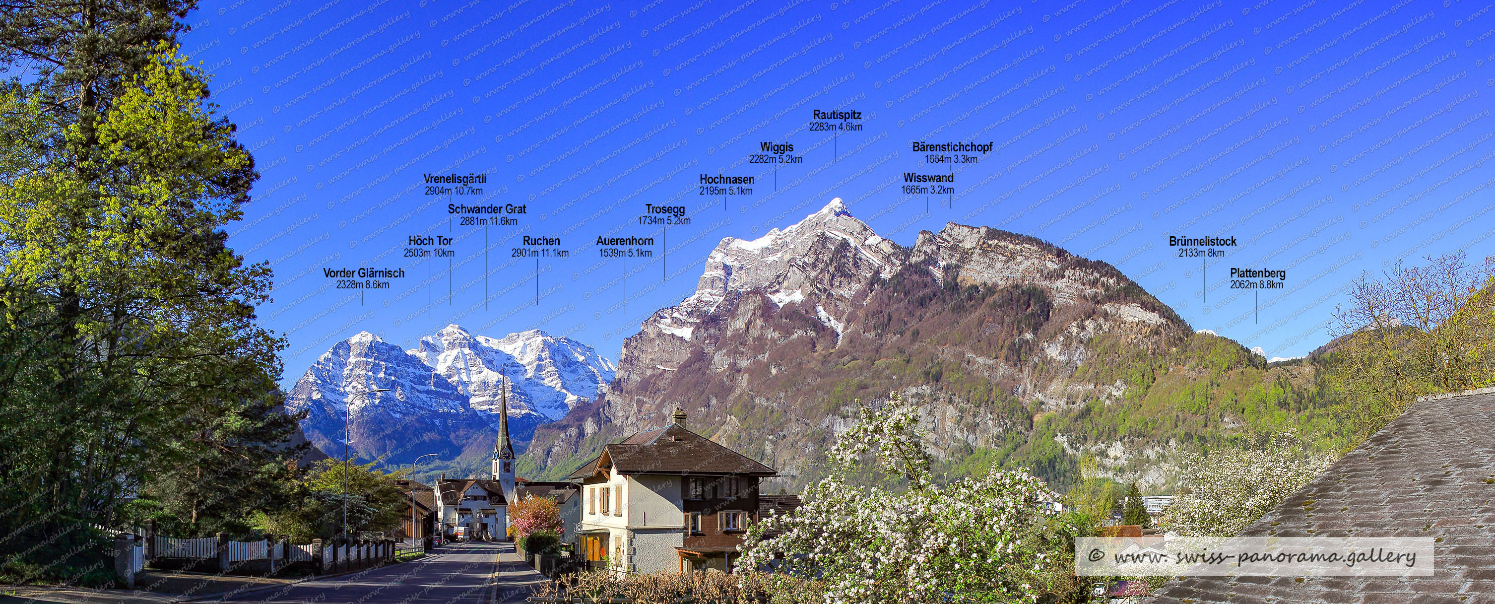 Panorama Linthebene, Mollis,  Beschriftetes Schweizer Alpenpanorama Linthebene , Panoramic picture of the Swiss Alps, Panoramic photos of the Swiss Alps, Beschriftetes Panorama Walensee, Beschriftetes Panorama Glarner Alpen, Höch Tor 2503m, Vorder Glärnisch 2328m, Ruchen 2901m GL (Glärnisch), Vrenelisgärtli 2904m, Auerenhorn 1539m 5,1km (Rautispitz), Wiggis 2282m GL   (Rautispitz), Hochnasen 2195m GL  (Rautispitz), Trosegg GL 1734m (Rautispitz), Brünnelistock 2133m, Wisswand 1665m GL (Nähe Rautispitz), Schwander Grat 2881m  , Plattenberg 2062m  GL/SZ (Wägital), Bärenstichchopf 1664m GL (nähe Rautispitz)   , Rautispitz 2283m GL, , swiss-panorama.gallery, famous Swiss Alps, Swiss Panorama Gallery, labelled mountain panorama from Switzerland,