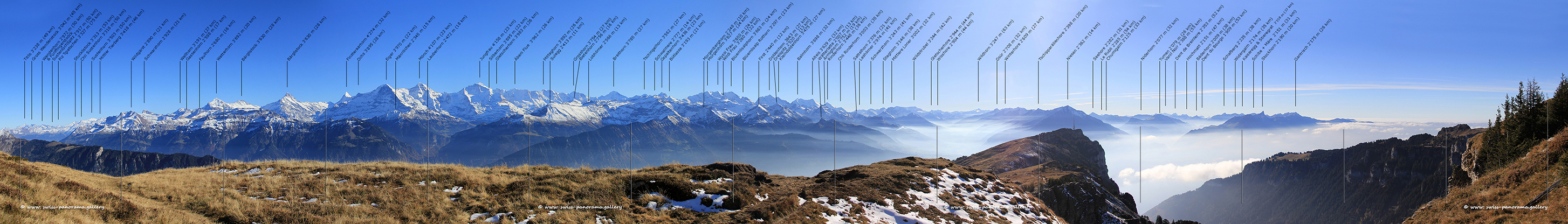 swiss_panorama.gallery Niederhorn Bergpanorama