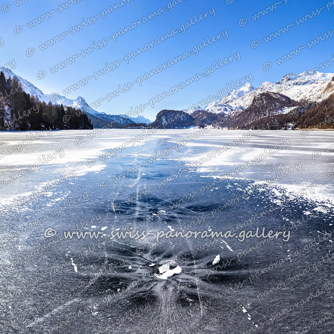 swiss panorama gallery Engadiner Seeen Silvaplanersee panorama Lake Silvaplana Upper Engiadina Lakes Area Piz Salacina 2'599 m (11 km), Piz Fedoz 3'190 m (11 km), Piz de la Margna 3'159 m (9 km), Furtschellas 2'932 m (4 km), Piz Corvatsch 3'458 m (5.5 km), Piz Mortel 3'442 m (5 km), Munt Arlas 3'129 m (4 km), Piz San Gian 3'134 m (4 km), Piz Surley 3'188 m (9 km)