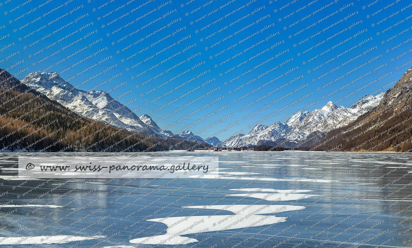 Silvaplanersee Schwarzeis Panorama Oberengadin Alpenpanorama Schweiz