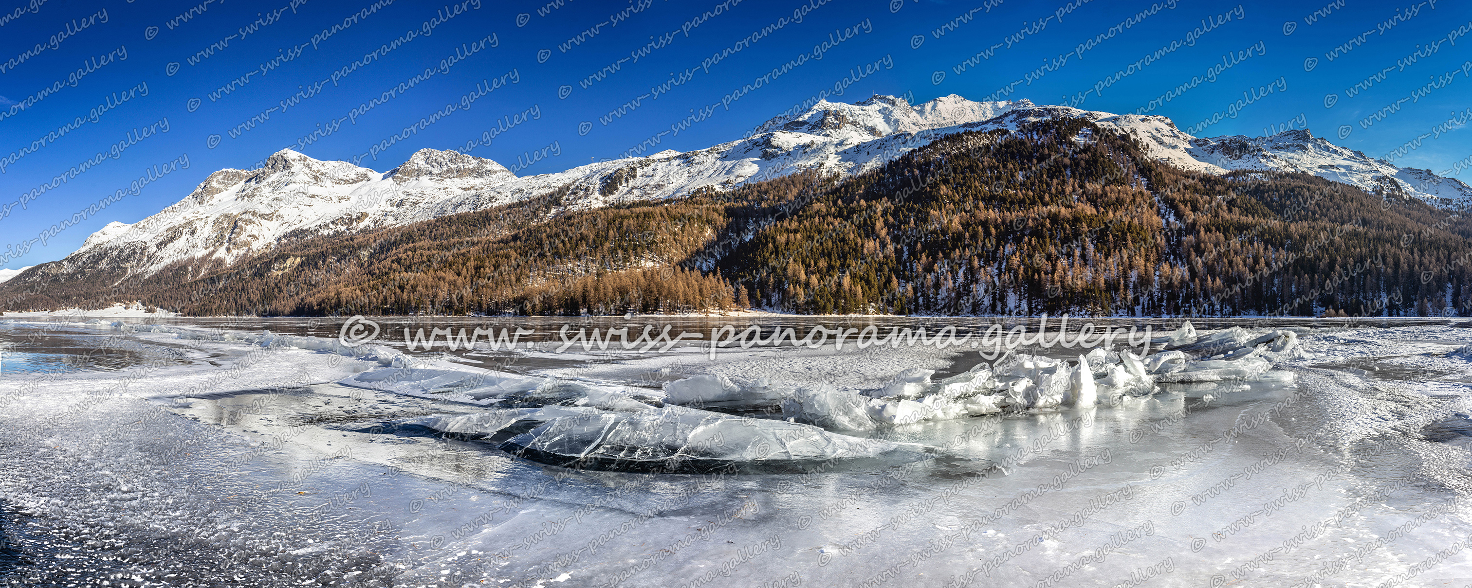 swiss panorama gallery Engadiner Seeen Silvaplanersee panorama Lake Silvaplana Upper Engiadina Lakes Area Silvaplanersee panorama, Gipfelverzeichnis, Piz Corvatsch 3'458 m (4 km), Piz Mortel 3'442 m (4 km), Piz da l'Ova Cotschna (2'716 m (6 km), Munt Arlas 3'129 m, Munt Arlas 3'129 m, Munt Arlas 3'129 m Piz Lagrev