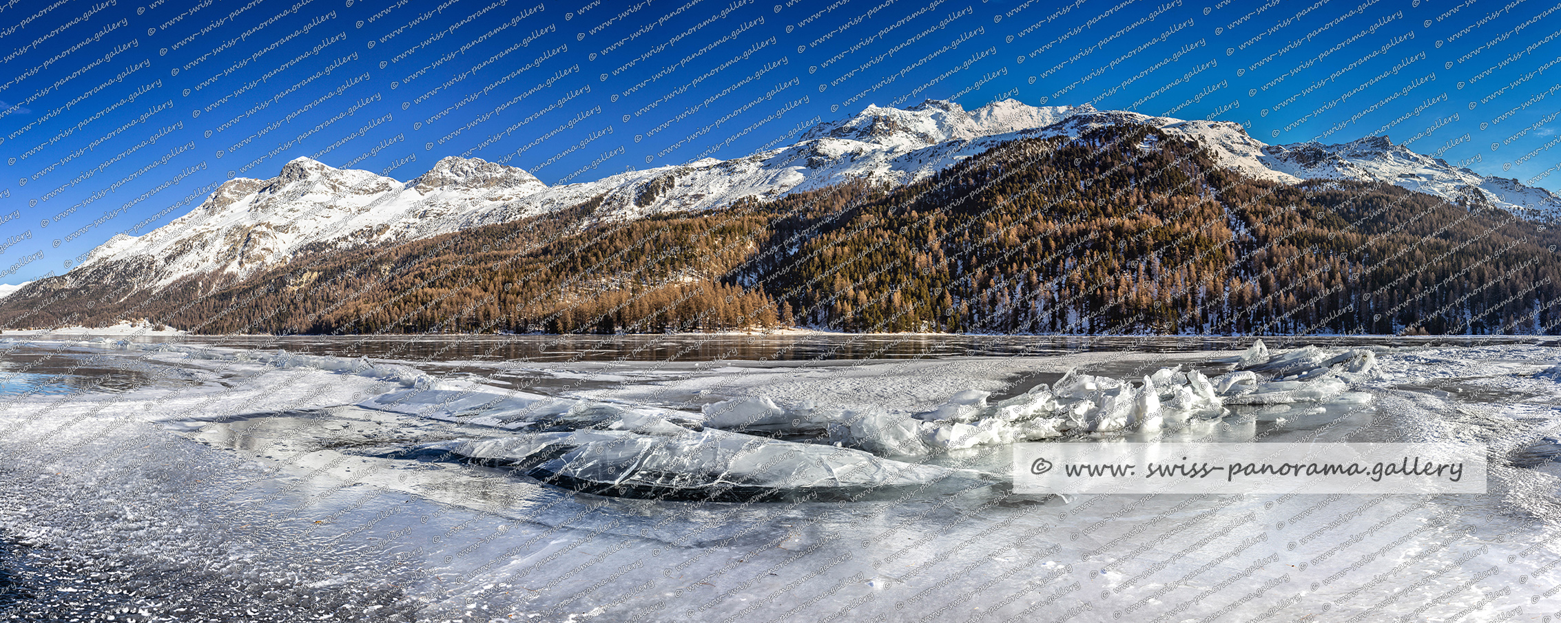 Silvaplanersee Schwarzeis Panorama Oberengadin Alpenpanorama Schweiz