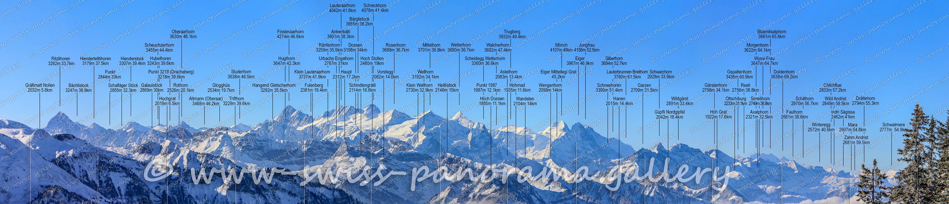 swiss panorama gallery Swiss Panorama Stanserhorn panoramic view, swiss-panorama.gallery, Schweizer Alpenpanorama vom Stanserhorn,  Punkt 3218m (Dracheberg), Oberaarhorn 3630m 46.1km, Scheuchzerhorn 3455m 44.4km, Hubelhoren 3243m 39.6km, Rothorn 2526m 20.1km, Lauteraarhorn 4042m 41.8km, Schreckhorn 4078m 41.4km, Bärglistock 3655m 38.2km, Ankenbälli 3601m 38.3km, Finsteraarhorn 4274m 46.6km, Ränfenhorn 3259m 35.5km, Dossen 3158m 34km, Urbaxhs Engelhorn 2767m 31km, Hoch Stollen 2480m 19km, Schindlengrätli 2114m 16.6km, Rosenhorn 3688m 36.7km, Wetterhor 3690m 36.7km, Mittelhorn 3701m 36.8km, Wellhorn 3192m 34.1km, Klein Wellhorn 2730m 32.9km, Astelhorn 2083m 13.4km, Trugberg 3932m 49.4km, Walcherhorn 3692m 47.4km, Scheidegg Wetterhorn 3360m 36.6km, Hohmad 1935m 11.6km, Winteregg 2572m 40.6km, Drättehorn 2794m 55.3km, Chilchflue 2833m 57.2km, Wild Andrist 2849m 59.5km, Indri Sägissa 2462m 41km, Mara 2607m 54.8km, Schwalmere 2777m  54.9km, Zahm Andrist 2681m 59.5km, Schilthorn 2970m 56.7km, Faulhorn 2681m 38.6km, Axalphorn 2321m 32.5km, Blüemlisalphorn 3661m 65.6km, Morgenhorn 3622m 64.1km, Wyssi Frau 3647m 64.7km, Gspaltenhorn 3436m 60.9km, Reeti 2756m 38.8km, Doldenhorn 3638m 69.2km, Simelihorn 2749m 38.8km, Gärstenhorn 2798m 34.1km, Oltschiburg 2233m 31.1km, Höh Grat 1922m 17.6km, Wildgärst 2891m 33.4km, Güpfli Nordgipfel 2042m 18.4km, Silberhorn 3694m 52.7km, Lauterbrunnen Breithorn 3780m 61.5km, Schwarzhorn 2928m 33.9km, Garzen 2709m 31.5km, Eiger Mittellegi Grat 45.2km, Jungfrau 4158m 52.5km, Mönch 4107m 49km, Eiger 3967m 46.9km, Schneehoren 3399m 51.4km, Hanen 2015m 14.4km, Wengenhorn 2098m 14km, Wandelen 2104m 14km, Höch Dossen 1885m 11.1km, Heitlistock 2146m 15km, Vorstegg 2082m 14.6km, Haupt 2312m 17.2km, Hangend Gletscherhorn 3292m 35.5km, Hugihorn 3647m 42.3km, Klein Lauteraarhorn 3737m 41.9km, Fulenberg 2381m 19.4km, Studerhorn 3638m 46.5km, Glogghüs 2534m 19.7km, Trifthorn 3229m 39.6km, Altmann 3468m 46.2km, Hochgrat 2019m 6.5km, Galauistöck 2869m 30km, Bächlistock 3247m 38.9km, Ritzlihoren 3282m 33.7km, Hienderstock 3307m 39.4km, Hiendertellenhoren 3179m 37.5km, Schafläger Stöck, Gräfimatt Nollen 2032m 5.8km
 
