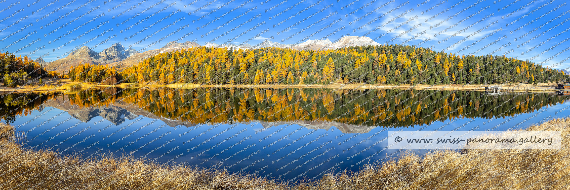 Lej da Staz Stazersee St. Moritz Oberengadin Alpenpanorama Schweiz