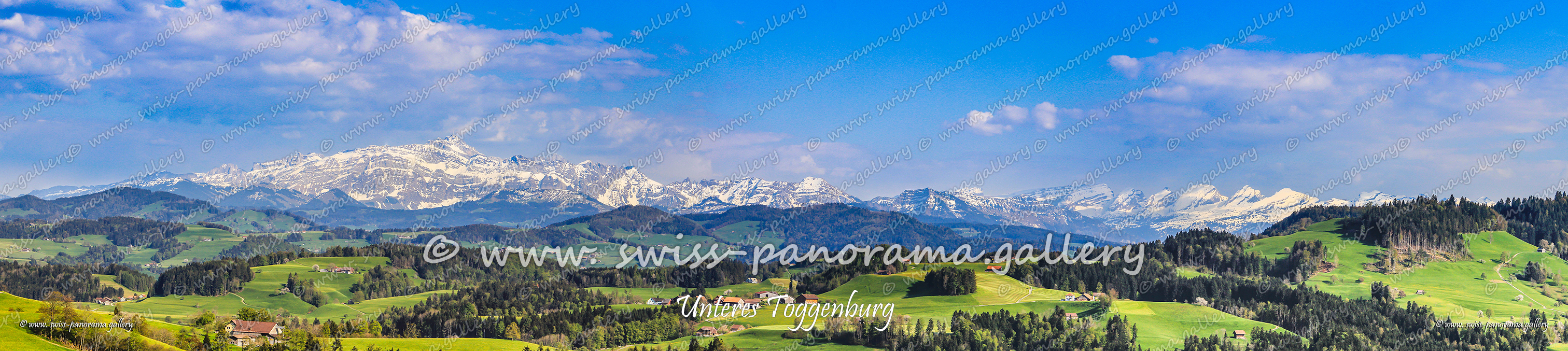 Churfirsten Alpen Panorama Alp Siegel 1769m 35.3km, Hängeten Ostgipfel 2023m 31km, Hängeten 2209m 31.5km, Grenzchopf 2193m 29km, Wildhuser Schafberg 2373m 31.8km. Silberplatten 2158m 28.9km, Gams Chopf 2959m 28.8km, Schafwisspitz 1989m 28.7km, Hinterrugg 2236m 34.1km, Zuestoll 2235m 33.6km. Wart 2068m 32.2km, Schlosshöchi 1033m 4km, Leistchamm 2101m 31.2km. Glattchamm 2097m 31.3km Nägeliberg 2163m 31.9km, Schären 2194m 32km, Frimsel 2267m 32km, Selun2205m 32.4km, Brisi 2279m 33.3km. Schibenstoll 2236m 34.1km, Chäserrugg 2261m 34.9km, Gamsberg 2385m 38.7km. Stockberg 1781m 25.4km, Lütispitz 1987m 28.1km, Stöllen 1967m 28.4km, Schwarzkopf 1949m, 28.9km, Stoss 2111m 29.2km,  Grauchopf 2216m 29.4km, Girenspitz 2248m 29.8km, Grauchopf 2216m 29.4km, Säntis 2502m 30.1km, Hüenerberg 2312m 29.9km, Höch Nideri 2246m 30km, Öhrli  2194m 30.4km, Ebenalp 1640m 33.1km, Wennelichöpf 1616m 38.2km, Kamor 1751m 38.3km